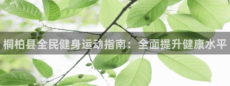 凯时APP官网首页：桐柏县全民健身运动指南：全面提升健康