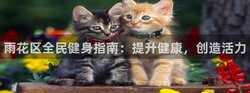 尊龙凯时存款多久到账：雨花区全民健身指南：提升健康，创造