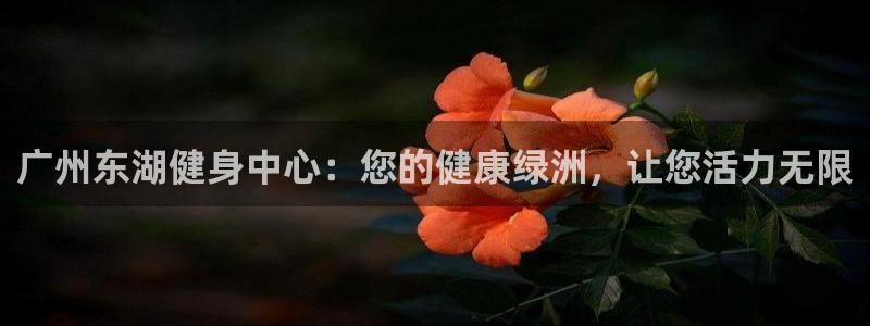 凯时官网下载客户端：广州东湖健身中心：您的健康绿洲，让您