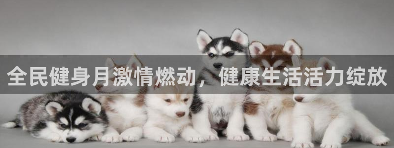 尊龙凯时始人生就是博：全民健身月激情燃动，健康生活活力绽