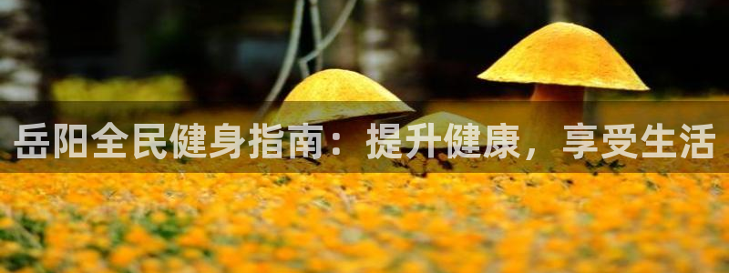 Z6尊龙老版：岳阳全民健身指南：提升健康，享受生活