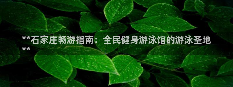 尊龙AG旗舰厅app下载：**石家庄畅游指南：全民健身游