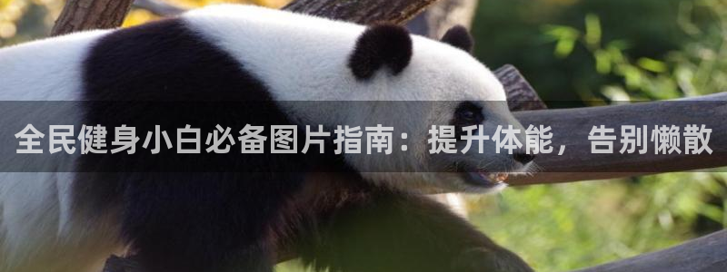 AG尊龙登陆网址：全民健身小白必备图片指南：提升体能，告