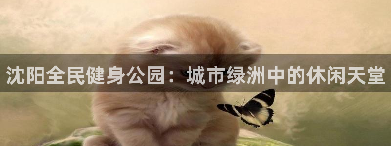 尊龙集团官网：沈阳全民健身公园：城市绿洲中的休闲天堂