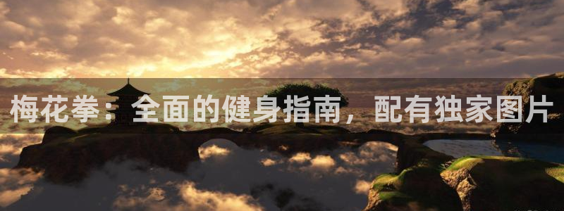 凯时最新官方APP下载：梅花拳：全面的健身指南，配有独家