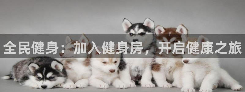 尊龙凯时合法吗?：全民健身：加入健身房，开启健康之旅