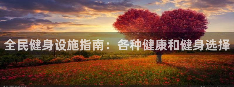 尊龙 国外：全民健身设施指南：各种健康和健身选择