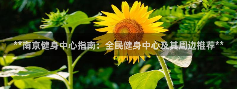 尊龙官网网页版：**南京健身中心指南：全民健身中心及其周