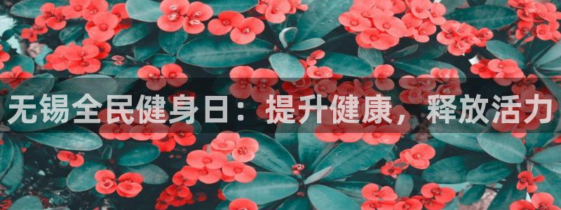 尊龙人生就要博旧版：无锡全民健身日：提升健康，释放活力