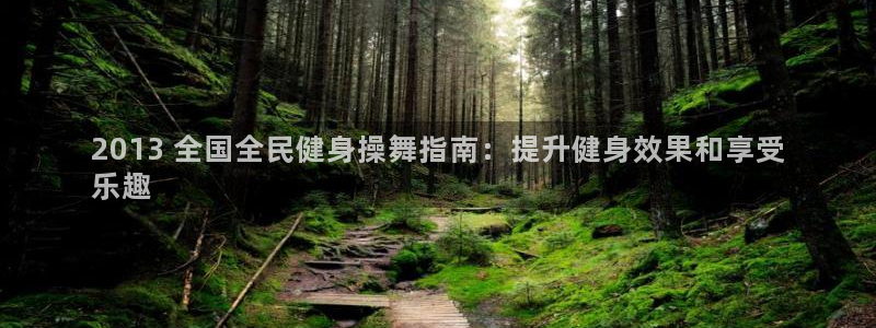凯时官网的售后服务：2013 全国全民健身操舞指南：提升