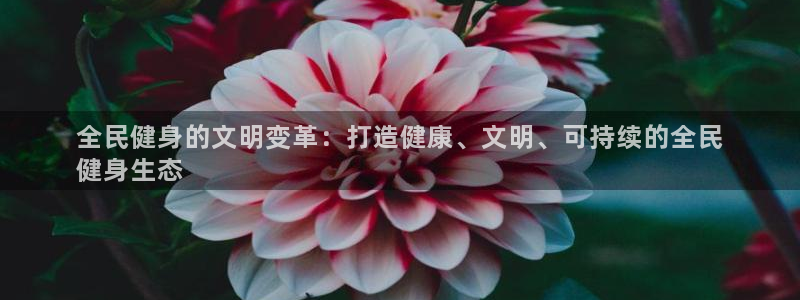 凯时K8国际：全民健身的文明变革：打造健康、文明、可持续