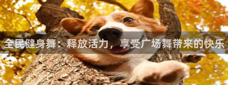 尊龙z6网址：全民健身舞：释放活力，享受广场舞带来的快乐