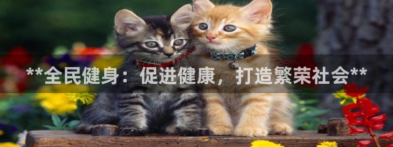 尊龙ag旗舰厅官网登录：**全民健身：促进健康，打造繁荣