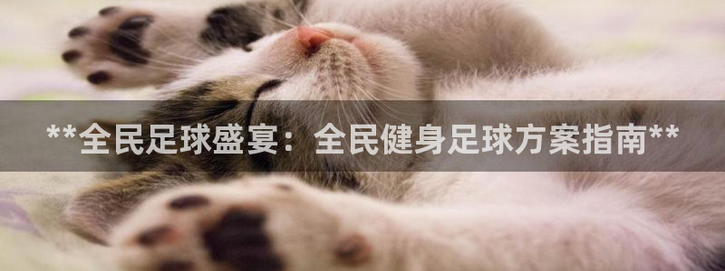 尊龙app认可ag发财网：**全民足球盛宴：全民健身足球