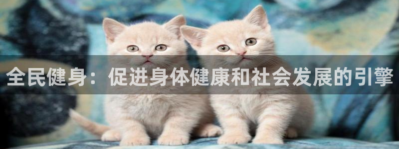 尊龙官网网页版：全民健身：促进身体健康和社会发展的引擎