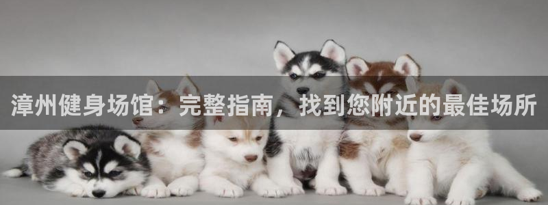 尊龙官网下载：漳州健身场馆：完整指南，找到您附近的最佳场