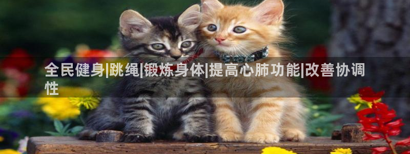 尊龙凯时一人生就是博登入：全民健身|跳绳|锻炼身体|提高