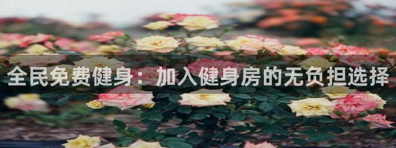 尊龙凯时ag旗舰厅：全民免费健身：加入健身房的无负担选择