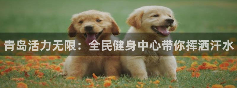 尊龙现金d88：青岛活力无限：全民健身中心带你挥洒汗水