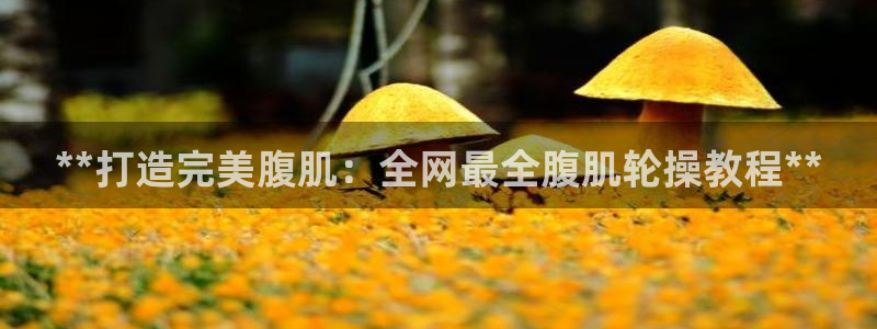 凯时k66官方发布：**打造完美腹肌：全网最全腹肌轮操教