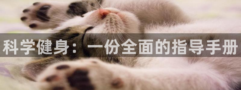 尊龙凯时下载官方正版