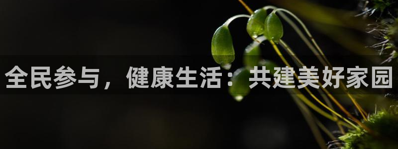 尊龙凯时网娱乐最新版下载