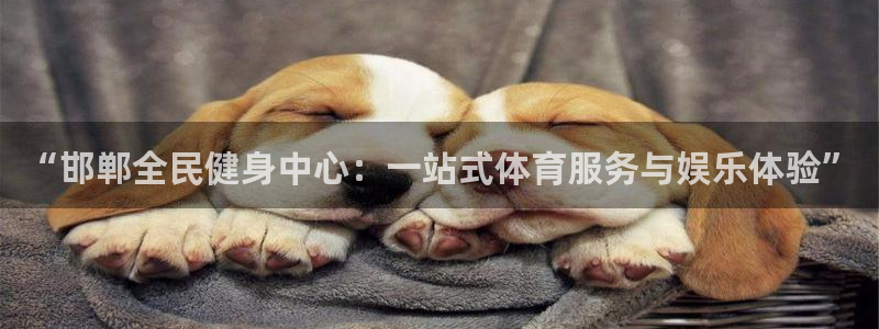 z6尊龙凯时旗