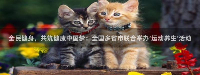 尊龙凯时ag旗舰厅官