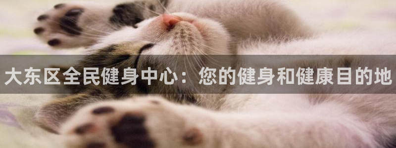 尊龙凯时 - 人生就是搏手机登录：大东区全民健身中心：您