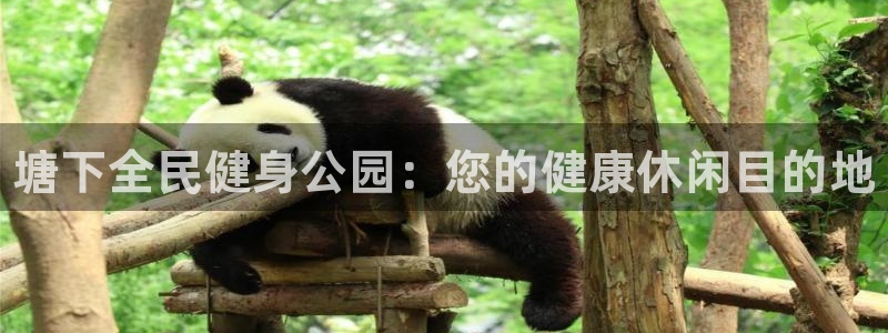 尊龙凯时电竞：塘下全民健身公园：您的健康休闲目的地
